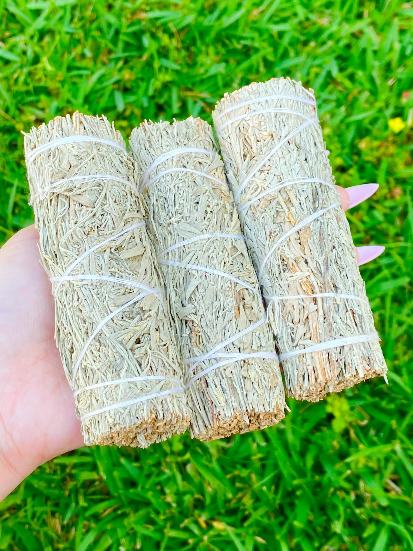 Blue Sage Smudge Stick 4"