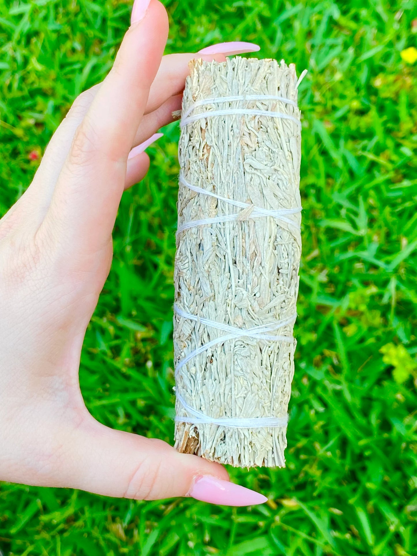 Blue Sage Smudge Stick 4"