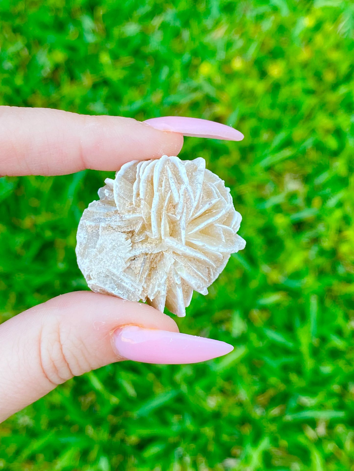 Desert Rose Selenite Buds 1-1.50"