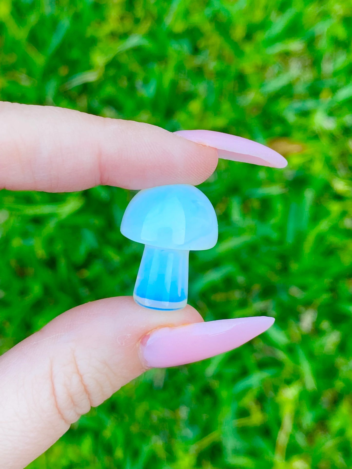 Pocket Size Mushroom 0.8"