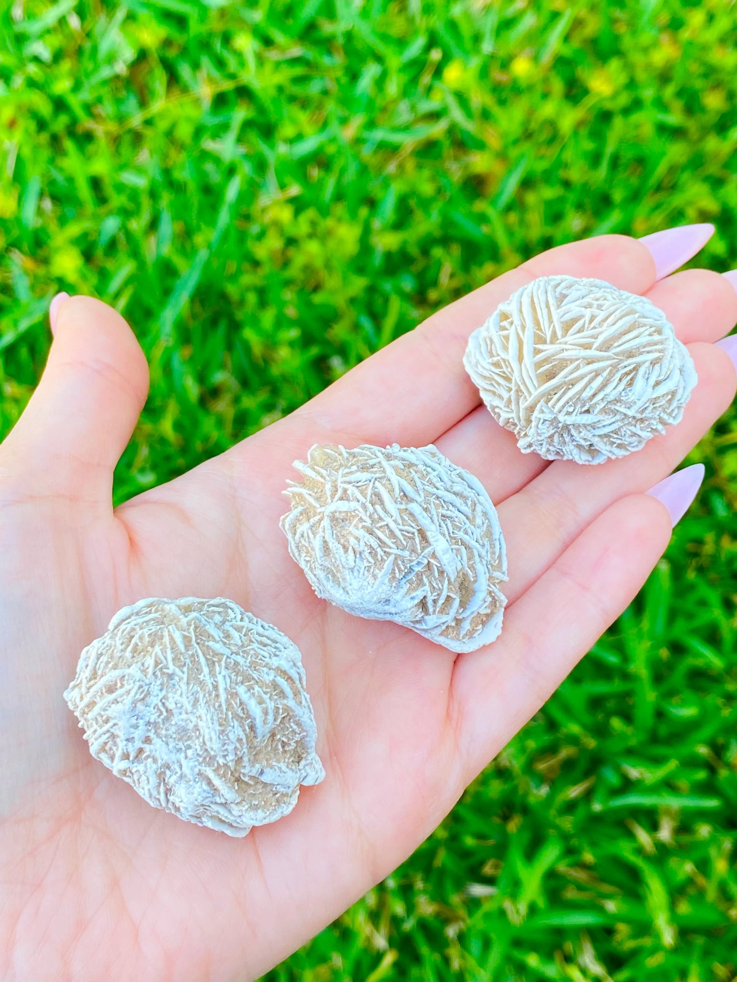 Desert Rose Selenite Buds 1-1.50"