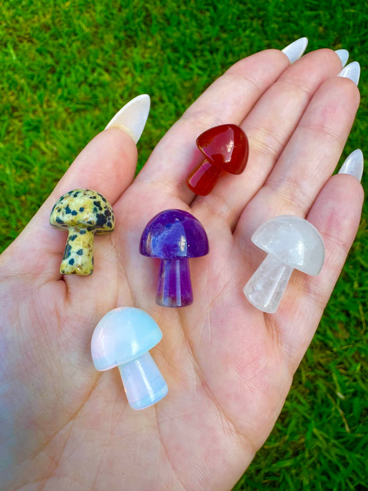 Pocket Size Mushroom 0.8"