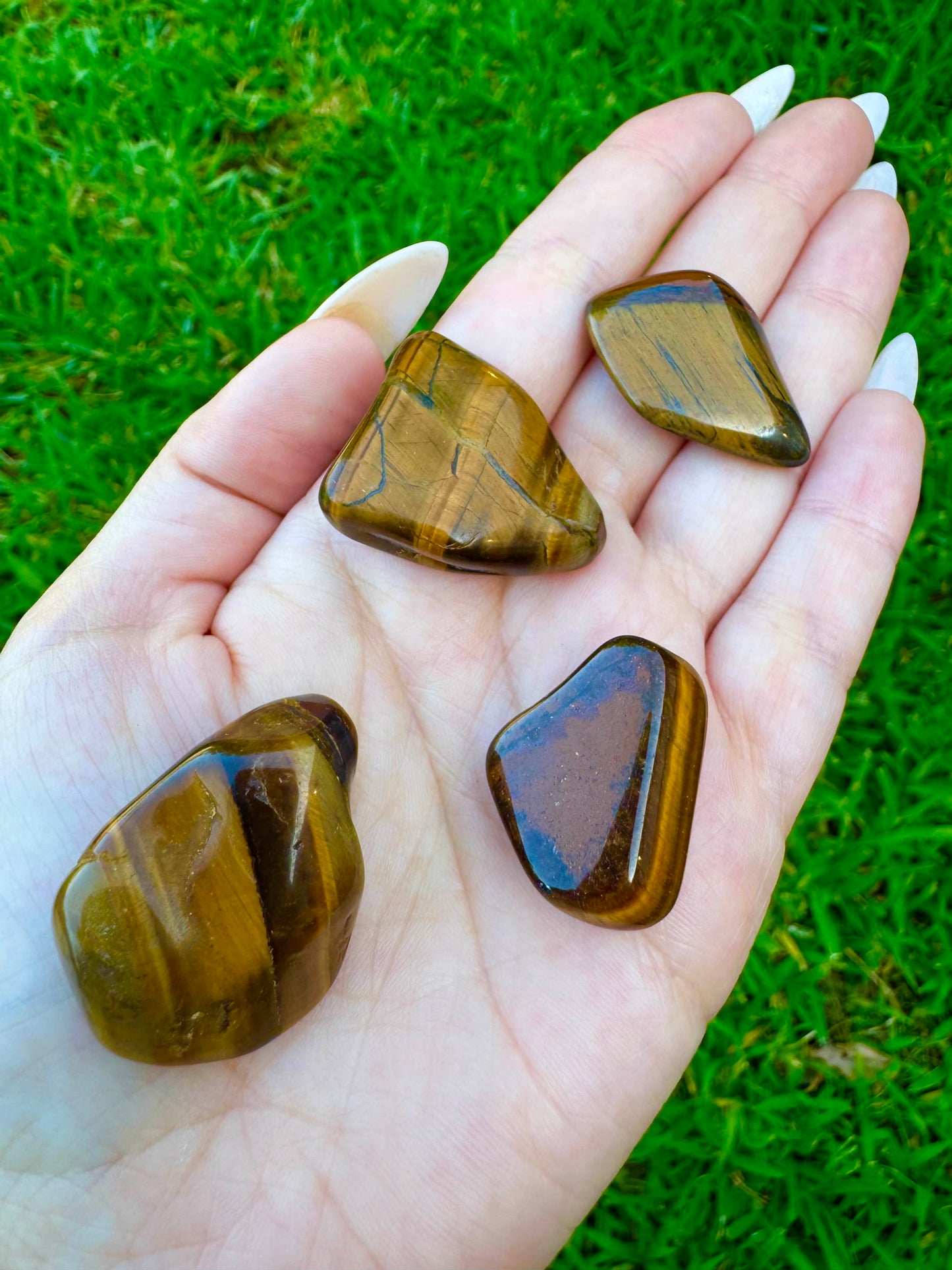 Tiger's Eye Tumble Crystal 0.75-1"