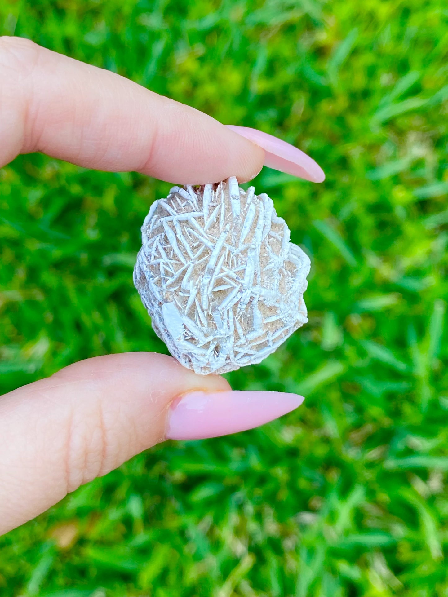 Desert Rose Selenite Buds 1-1.50"