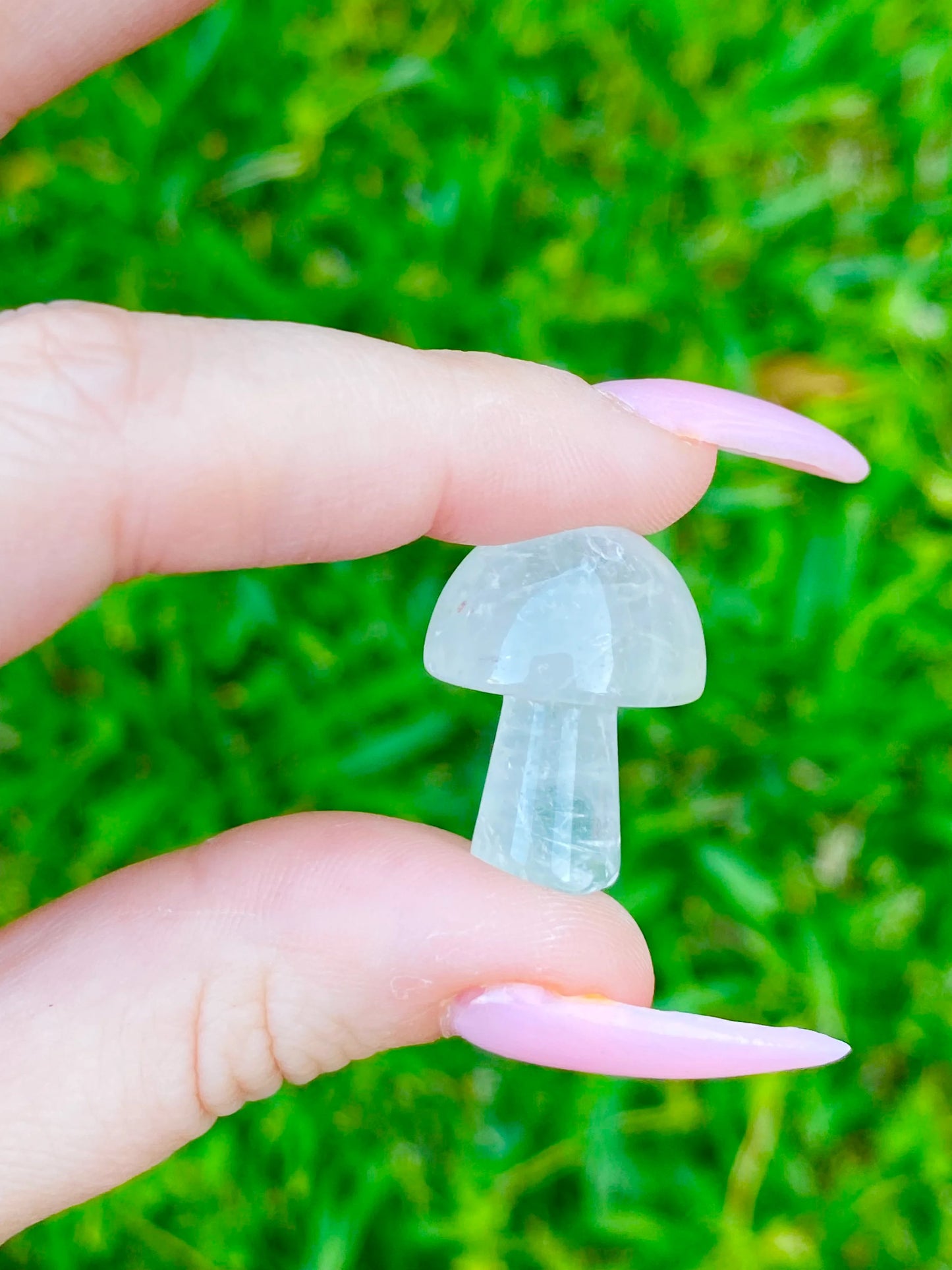 Pocket Size Mushroom 0.8"
