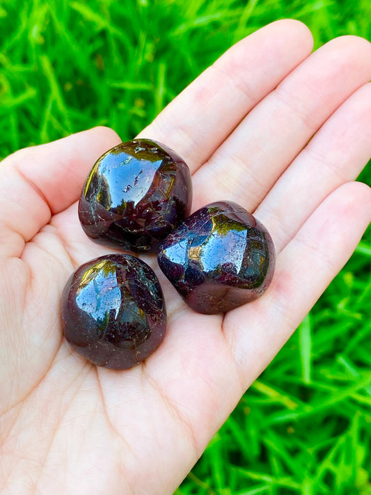 Garnet Tumble 0.75-1.25"
