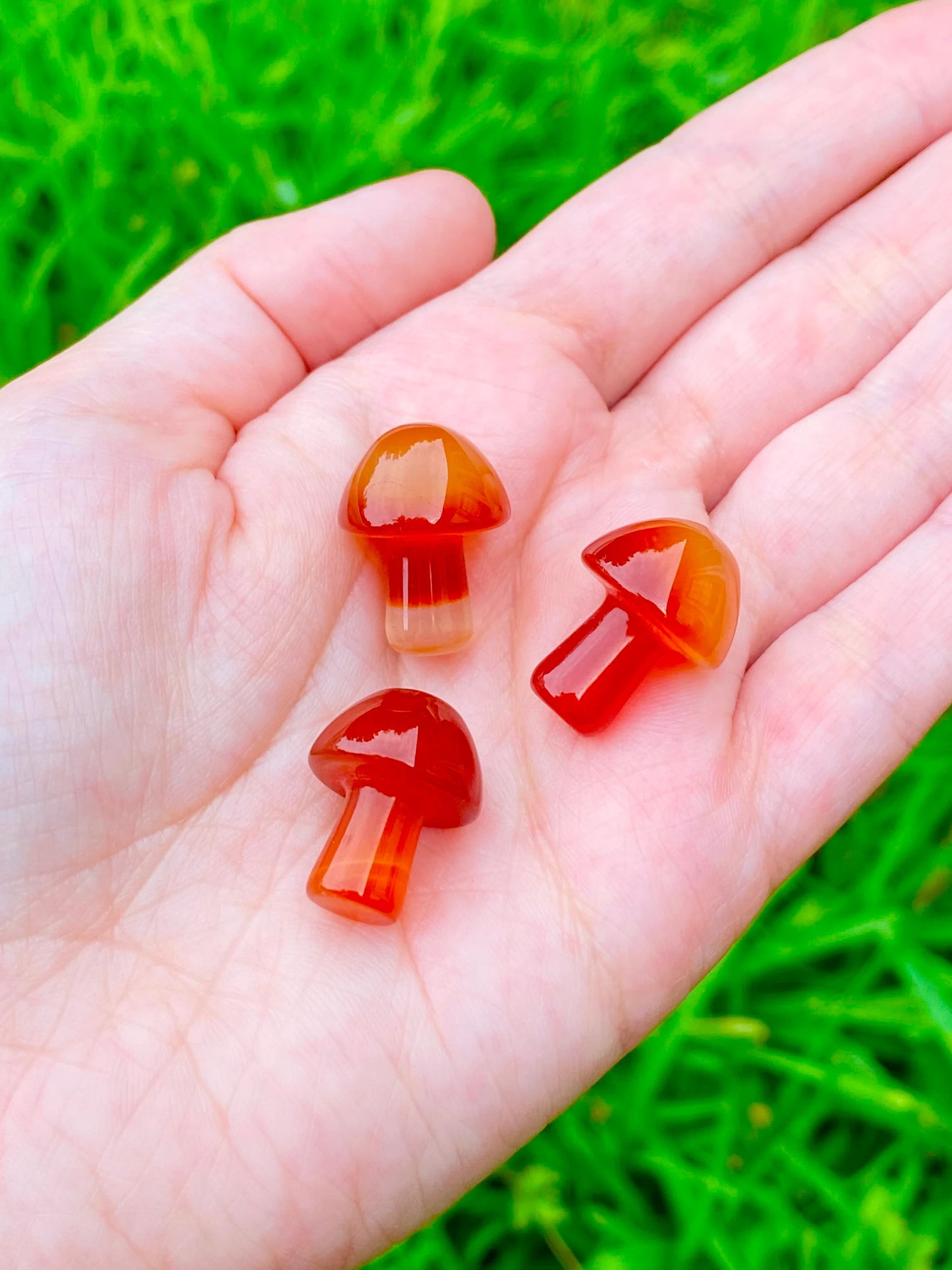 Pocket Size Mushroom 0.8"