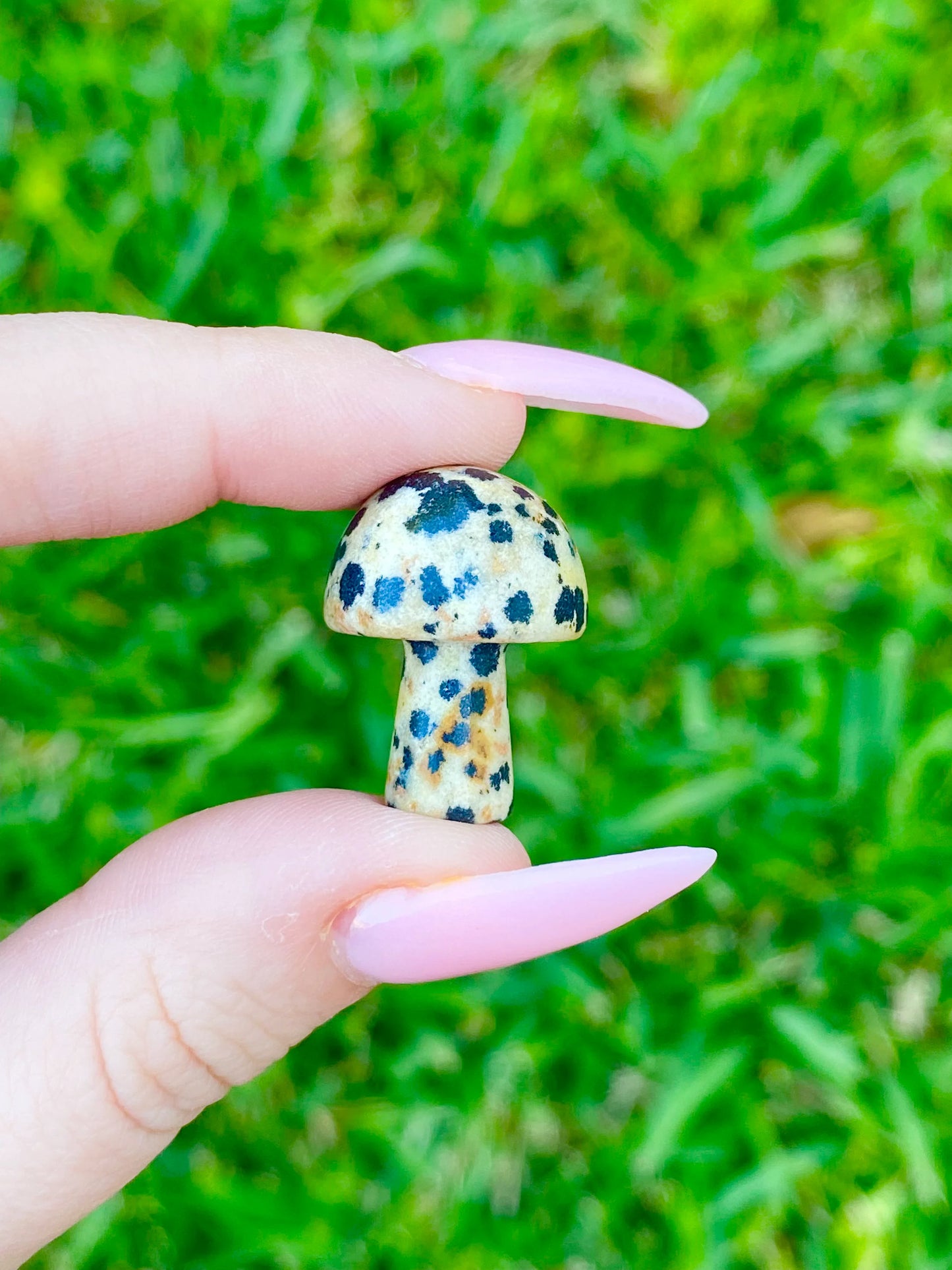 Pocket Size Mushroom 0.8"