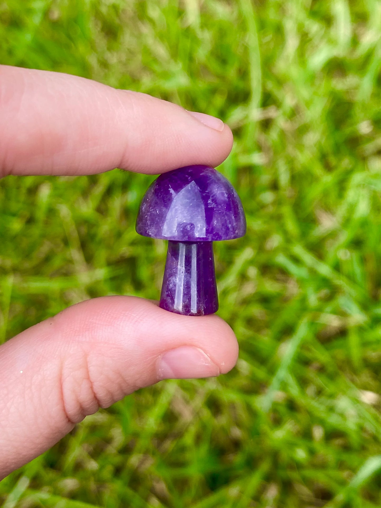 Pocket Size Mushroom 0.8"