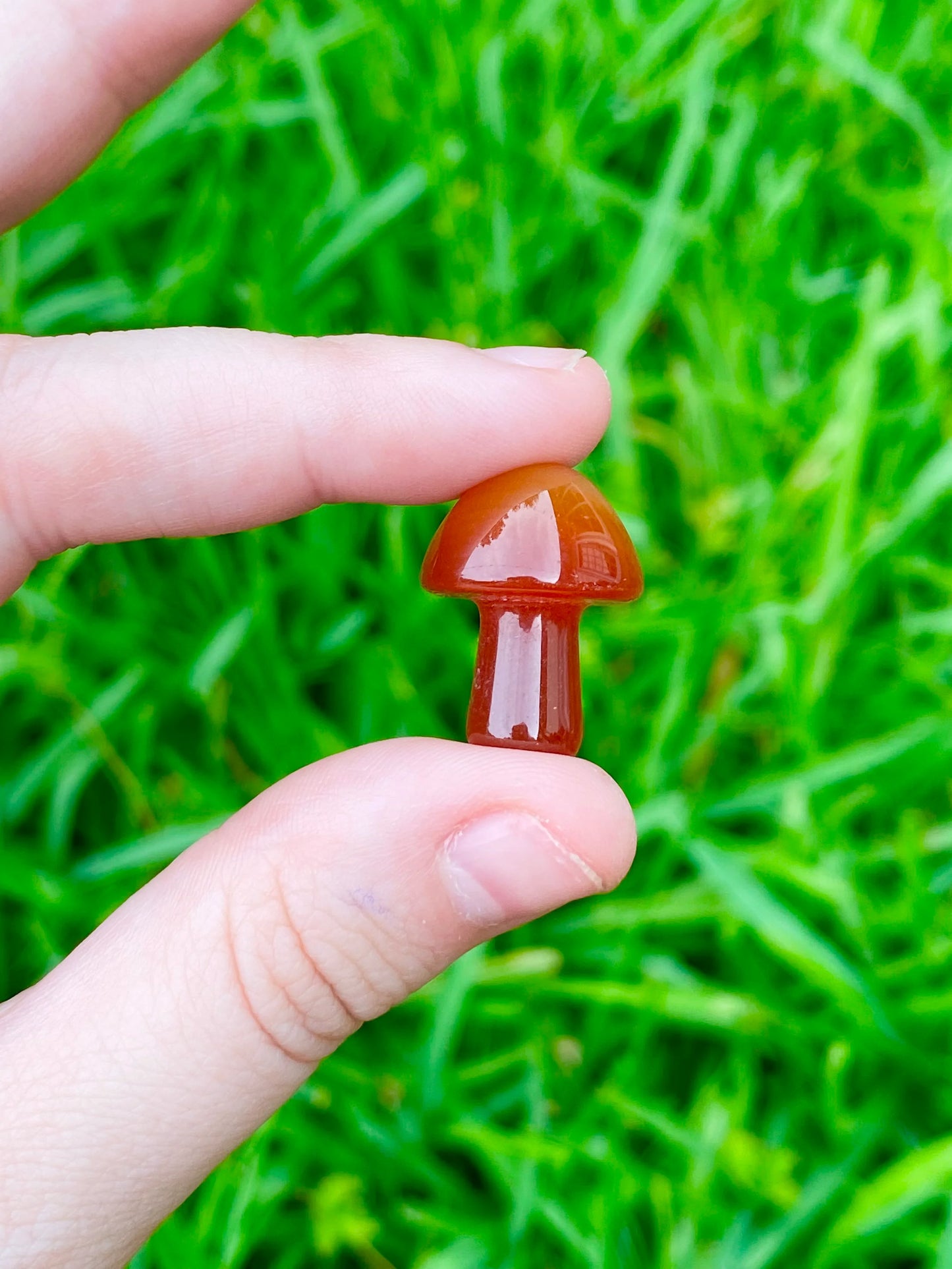 Pocket Size Mushroom 0.8"