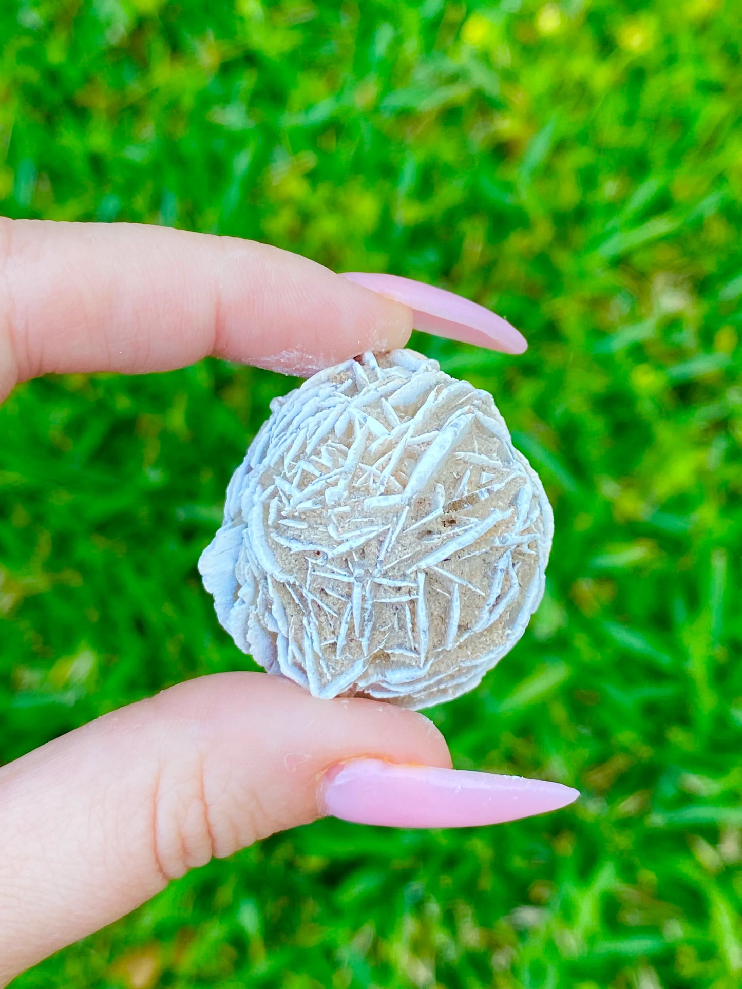 Desert Rose Selenite Buds 1-1.50"