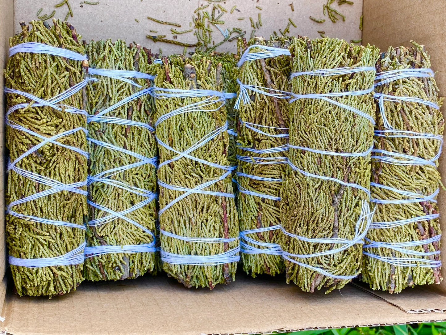 Cedar Sage Smudge Stick 4"